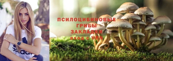 прущая мука Нягань