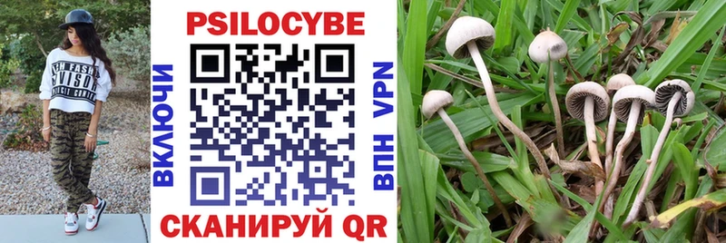 Купить где  Ухта  Галлюциногенные грибы прущие грибы 